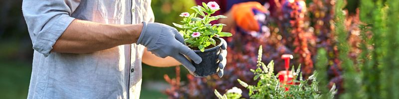 Mensch im Garten mit einem Blumentopf in den Händen